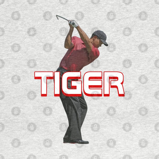 Tiger Woods Swing by YungBick